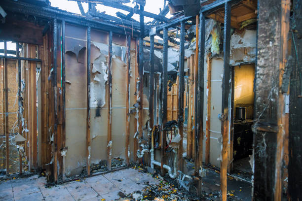Professional Soot Cleanup technician working in Mogul, NV